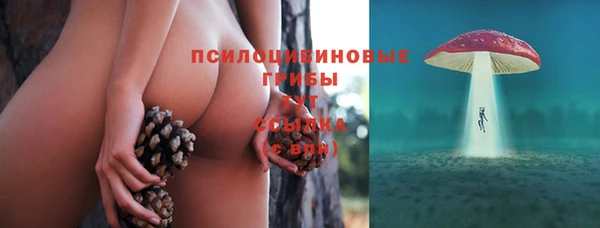 MDMA Беломорск